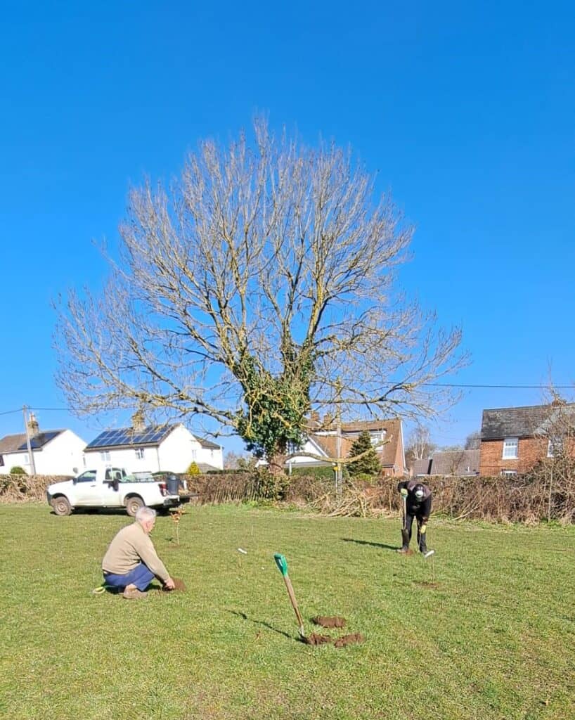 bright blue sky and people planting trees in green open land